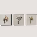 Three Panel Botanical Artworks With Dried Plant Specimens And Black Frames 3d model
