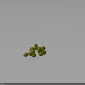 Green Plant Fruits With Small Bumpy Surface Clustered On Dark Background