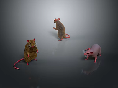 Three Mice In Different Colors With Standing Poses On Gray Background With Reflections 3d model