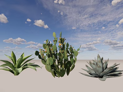 Bonsai Potted Cactus and Agave Plants Under Blue Sky with Clouds 3d model