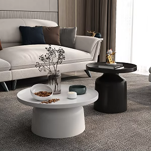 Living room sofa coffee table combination 3d model
