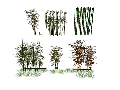 Various Bamboo Species With Different Heights And Green Foliage For Garden Landscaping Design 3d model