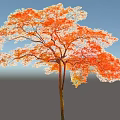 Stunning Arbor Featuring Orange Red Leaves and Brown Trunk Against Light Blue Sky
