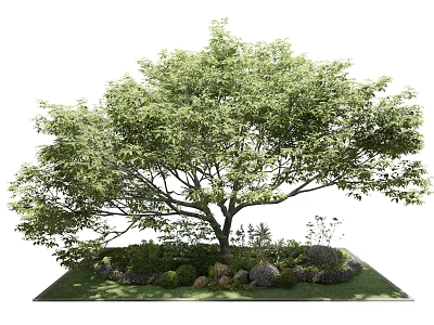 Arbor with lush green leaves in garden landscape surrounded by small plants and stones 3d model