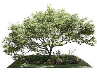 Modern Tree Outdoor Plant Greening Landscape 3d model