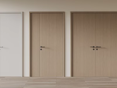 Modern Interior Showcasing Light Wooden Double Doors And Single Door Styles 3d model