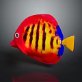 Vibrant Tropical Fish With Red Yellow Blue Striped Pattern And Yellow Tail