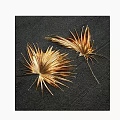 Gold Palm Leaf Wall Decor With Two Pieces On Dark Background