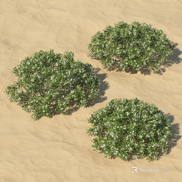 Three Shrubs With Green Leaves And White Flowers Growing On Sandy Ground 3d model 