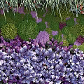 Living Green Plant Wall With Various Greenery Purple Flowers And Lush Foliage