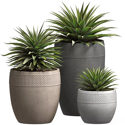 Three Green Potted Plants In Textured Gray Pots With Spiky Leaves And Woven Design 3d model