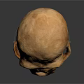 Detailed Ape Skull Sculpture with Realistic Facial Features and Natural Texture