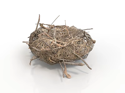 Handmade Natural Decorative Household Nest Crafted From Twigs And Dry Grass 3d model
