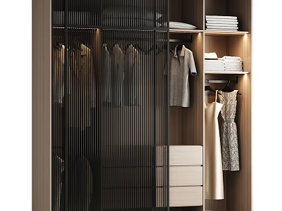 Modern Wardrobe Interior Design With Hanging Clothes Folded Shelves Drawers And Lighting 3d model