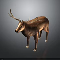 Realistic 3D Deer Model With Large Antlers Brown Coat And White Hooves