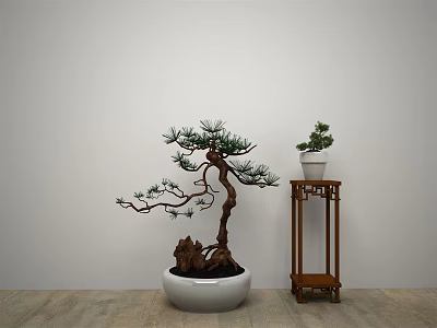 Bonsai Plants With Curved Trunk And Small Potted Plant On Wooden Stand For Interior Decor 3d model
