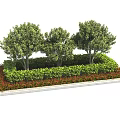 Lush Green Shrubs With Red Foliage And Trees In Garden Landscaping Design