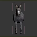Realistic Gray Donkey 3D Model With White Muzzle Standing On Dark Background 3d model