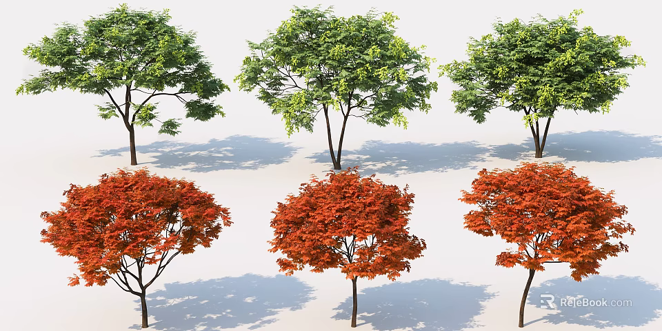 Lush Arbor Trees With Green And Red Foliage In Outdoor Landscape 3d model 