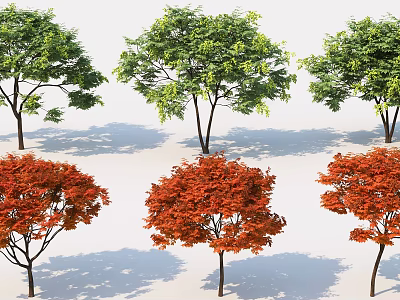 Lush Arbor Trees With Green And Red Foliage In Outdoor Landscape 3d model