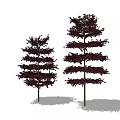 Two Arbor Trees With Dark Red Foliage Slender Trunks And Layered Crown 3d model