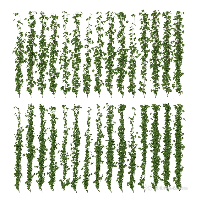 Lush Green Hanging Vines for Indoor Outdoor Wall Decoration Ideas 3d model 