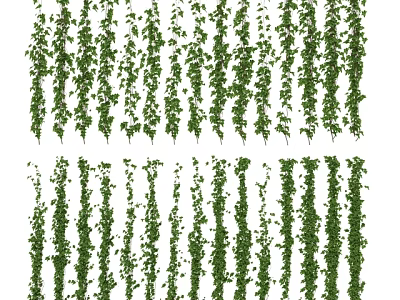 Lush Green Hanging Vines for Indoor Outdoor Wall Decoration Ideas 3d model
