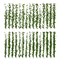 Lush Green Hanging Vines for Indoor Outdoor Wall Decoration Ideas