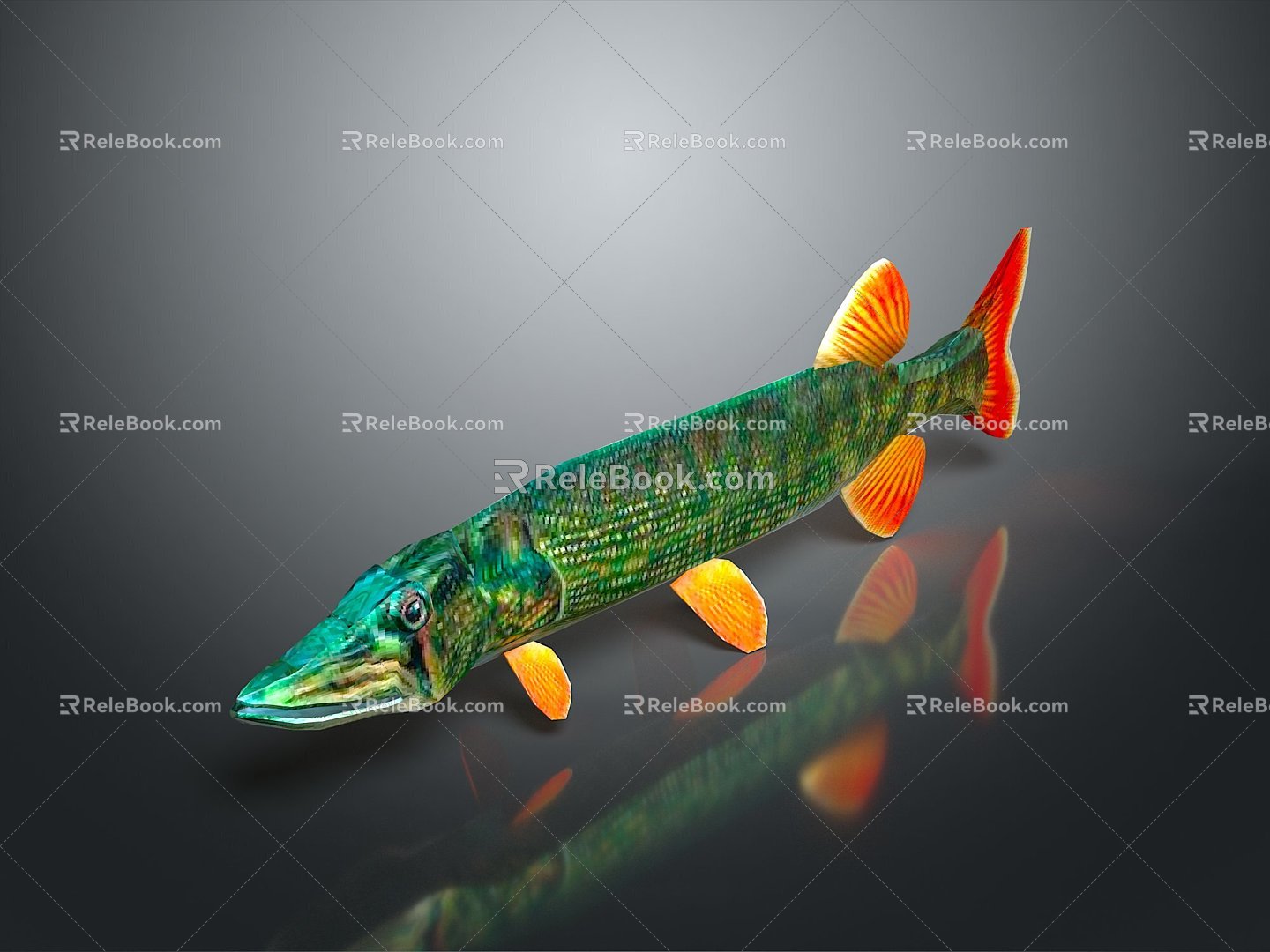 Catfish Carp Sturgeon Bass Freshwater Fish Various Carp Grass Carp Crucian Carp 3d model