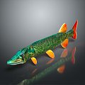 Catfish Carp Sturgeon Bass Freshwater Fish Various Carp Grass Carp Crucian Carp 3d model