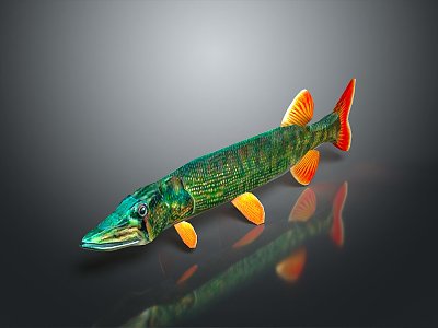 Catfish Carp Sturgeon Bass Freshwater Fish Various Carp Grass Carp Crucian Carp 3d model