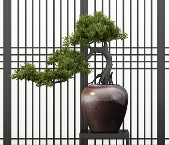 New Chinese Bonsai Pine Tree Ornaments Bonsai 3d model