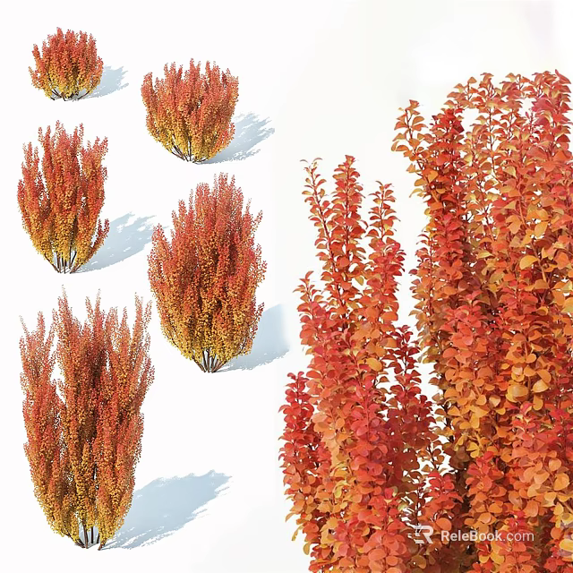 Showcasing Red and Orange Shrubs with Diverse Foliage Shapes and Growth Patterns 3d model