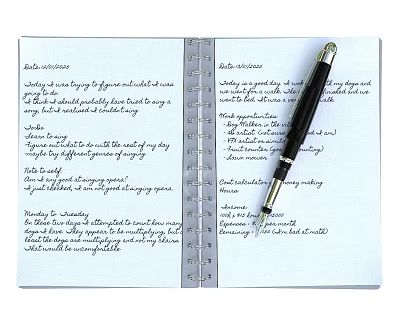 Open Notebook With Handwritten Notes And Fountain Pen On Pages 3d model