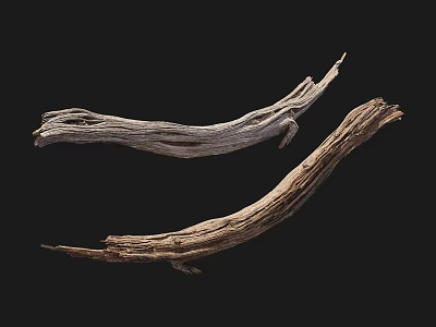 Arbor Dry Wood Pieces With Natural Texture And Twisted Shape On Dark Background 3d model