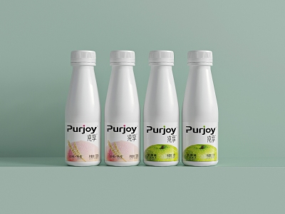 Juice Milk Beverage Dairy Products model