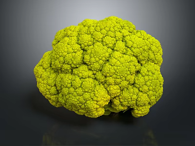 Vibrant Fresh Green Broccoli Head with Crisp Florets Isolated on Dark Background 3d model