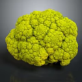 Vibrant Fresh Green Broccoli Head with Crisp Florets Isolated on Dark Background