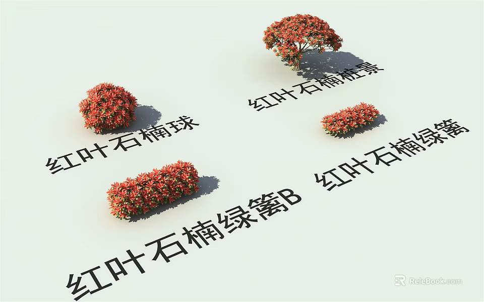 Red Leaf Photinia Shrubs Including Balls And Green Hedges Types 3d model