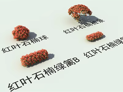 Red Leaf Photinia Shrubs Including Balls And Green Hedges Types 3d model