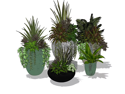 Varied Bonsai Potted Plants With Different Colorful Pots And Green Foliage 3d model