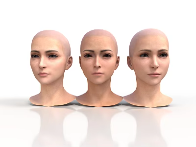 Three Human Head Models with Visible Facial Organs and Hairless Scalp 3D Rendered 3d model