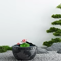 Japanese Karesansui Garden Design With Stone Basin Pink Lotus Pine Tree And Gray Stones