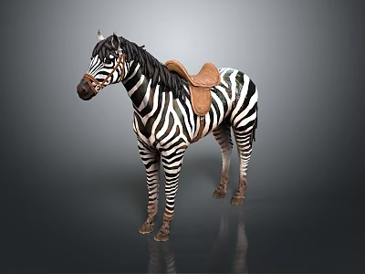 Realistic Black And White Striped Zebra Standing With Brown Saddle On Gray Background 3d model