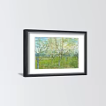 Four Black Framed Botanical Paintings Featuring Blooming Trees Green Grass 3d model