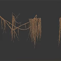 Elegant Modern Interior Decor With Decorative Branches And Long Hanging Roots 3d model