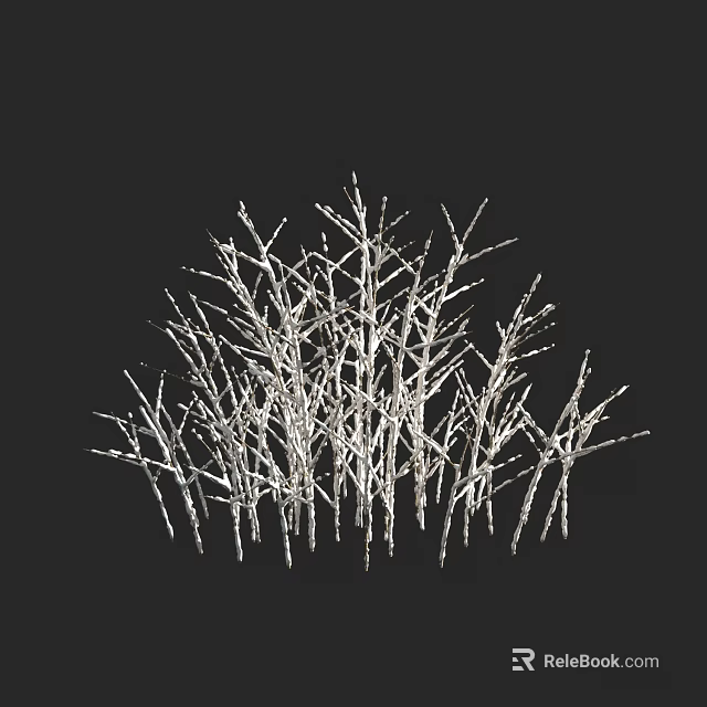 Leafless Tree Branches With Bare Intricate Texture On Black Background 3d model