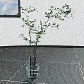 Glass Vase With Green Branches On Dark Tiled Floor By Window With Blue Sky