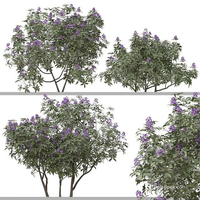 Arbor With Vibrant Purple Flowers Green Leaves And Multiple Views 3d model 