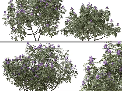 Arbor With Vibrant Purple Flowers Green Leaves And Multiple Views 3d model